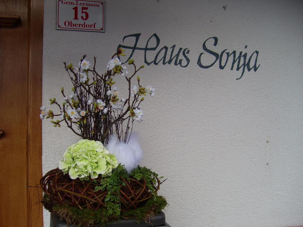 Haus Sonja Apartment Lermoos Exterior photo